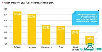 云計算服務 租賃還是自建軟件開發的明智選擇